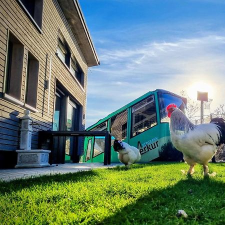 Вилла Exklusives Holzhaus Mit Bergbahn - Baden-Baden Im Schwarzwald Экстерьер фото